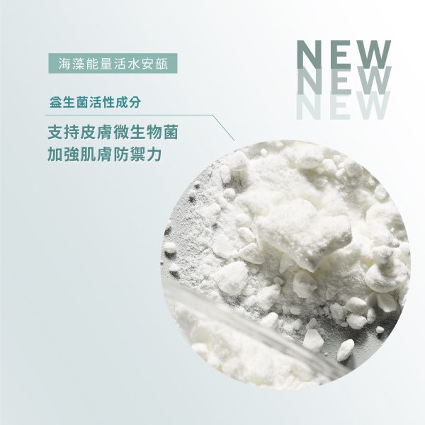 德國 [BABOR] 海藻能量活水安瓿 Algae Vitalizer